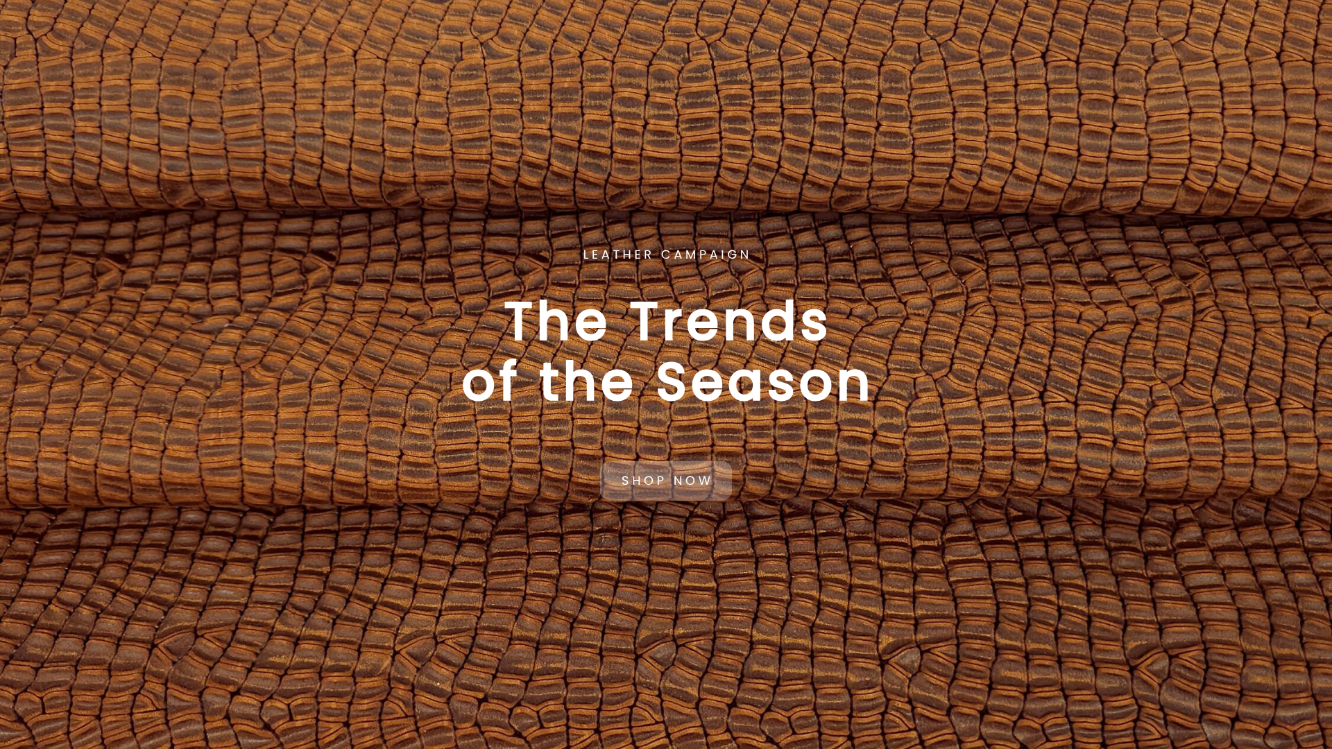 Trends