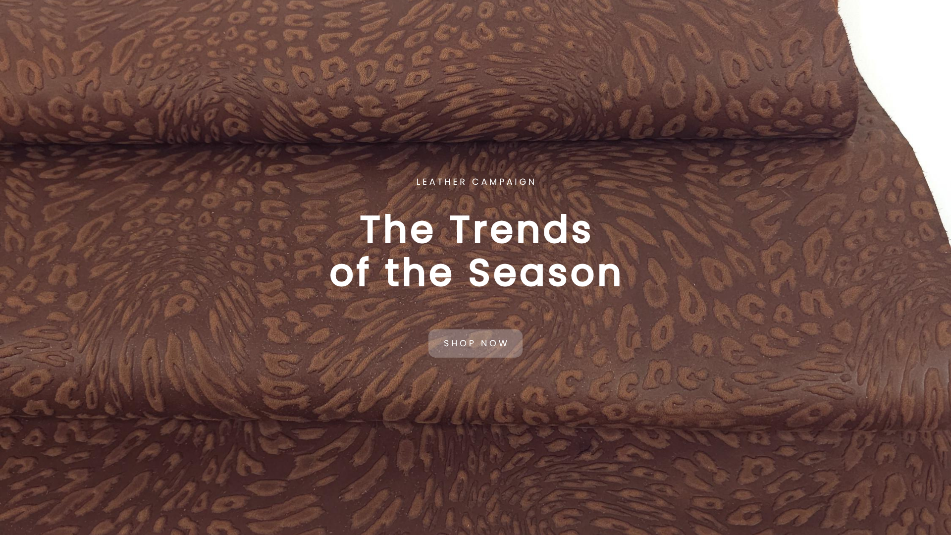Trends