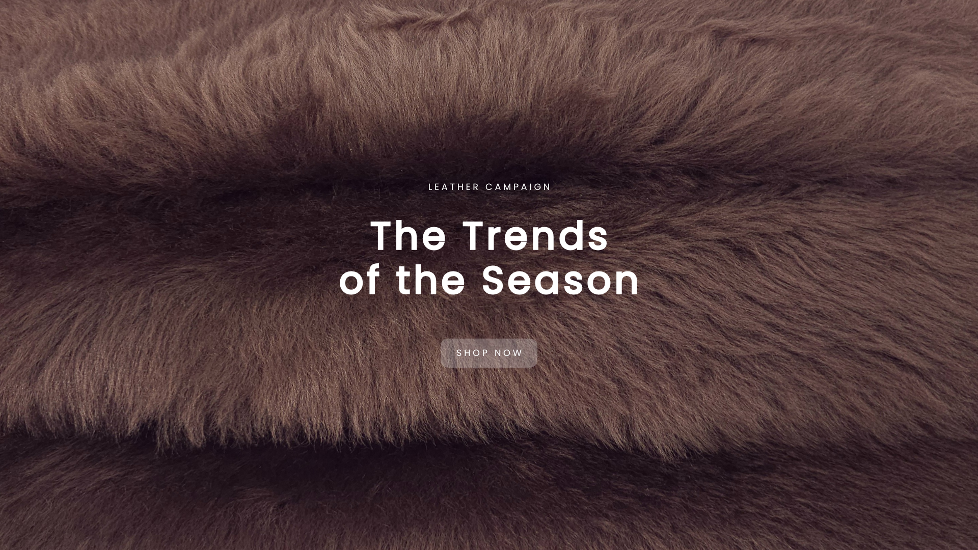 Trends