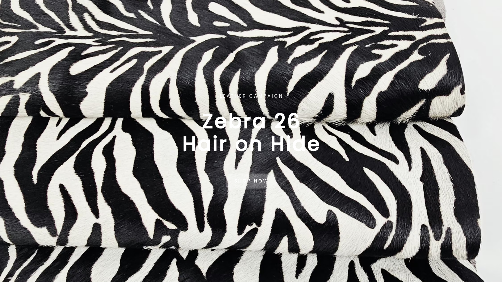 Zebra Hair