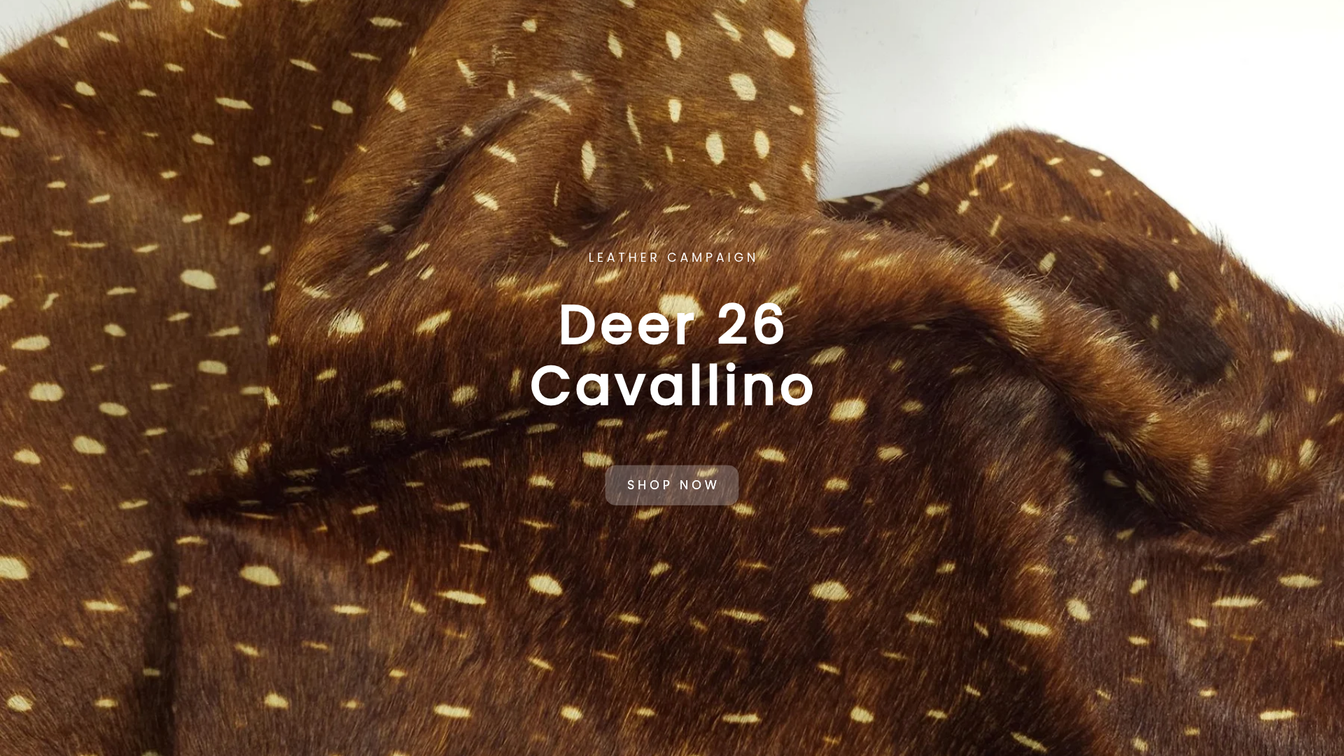 Deer 26 Hair